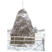 06_Winter-2003-04.JPG