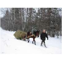 10_Winter-2003-04.JPG