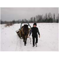 13_Winter-2003-04.JPG