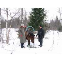18_Winter-2003-04.JPG