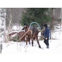 19_Winter-2003-04.JPG