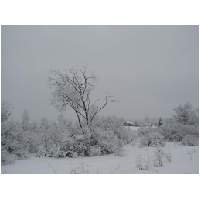 35_Winter-2003-04.JPG