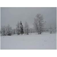 36_Winter-2003-04.JPG