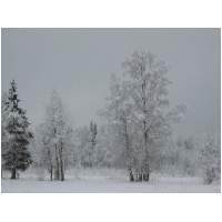 37_Winter-2003-04.JPG