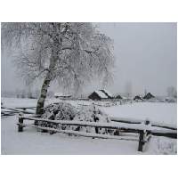 38_Winter-2003-04.JPG