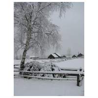39_Winter-2003-04.JPG