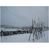 43_Winter-2003-04.JPG