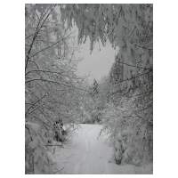 57_Winter-2003-04.JPG