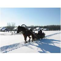 66_Winter-2003-04.JPG