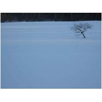 72_Winter-2003-04.JPG