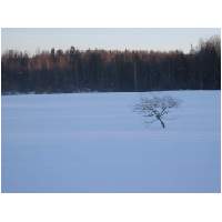 73_Winter-2003-04.JPG