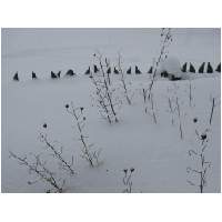 78_Winter-2003-04.JPG