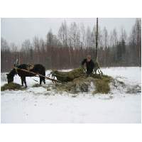82_Winter-2003-04.JPG